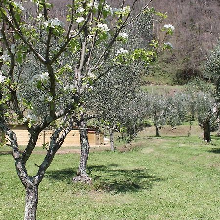 Shaleo Holiday Home Marliana Bagian luar foto
