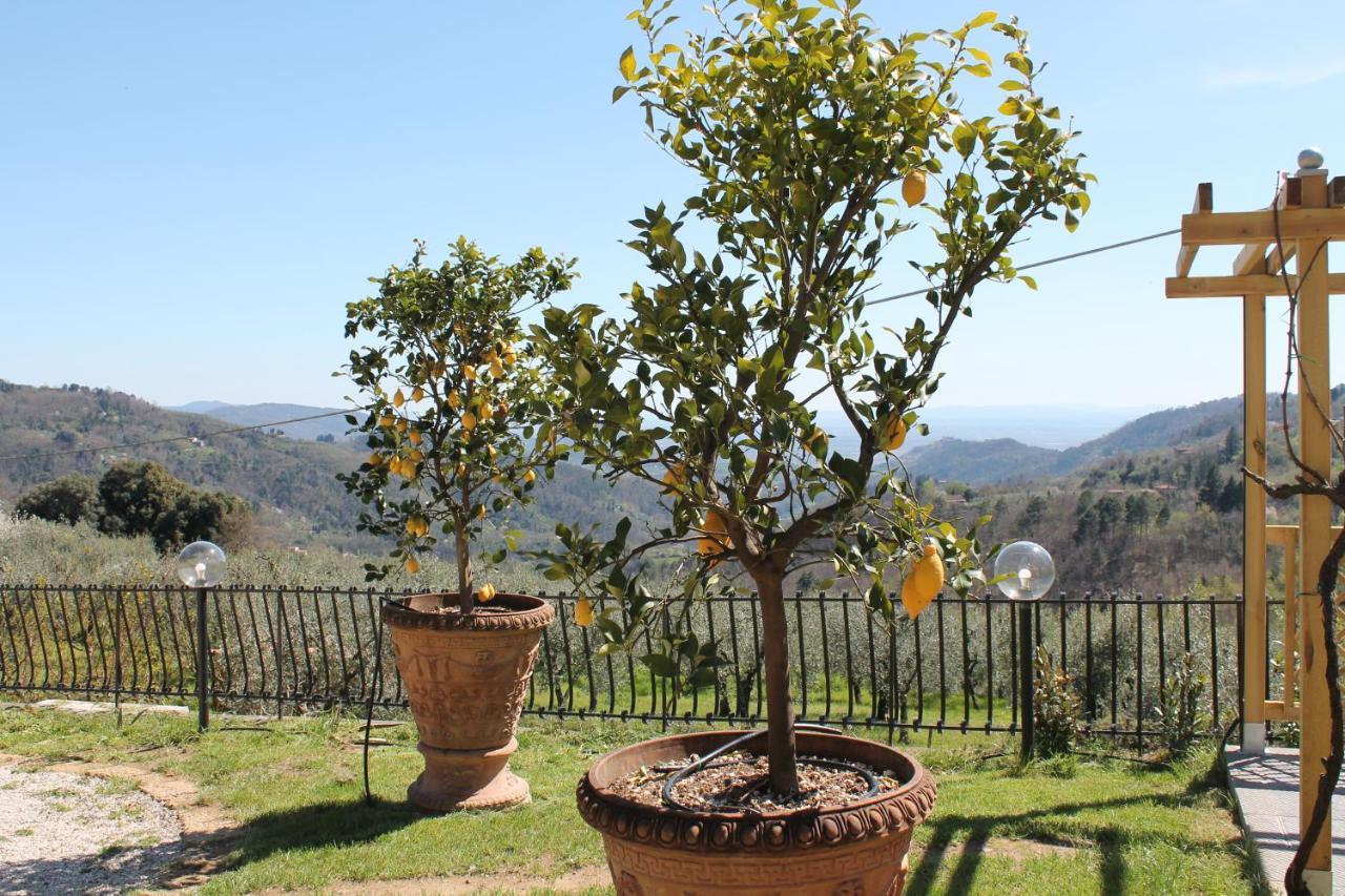 Shaleo Holiday Home Marliana Bagian luar foto