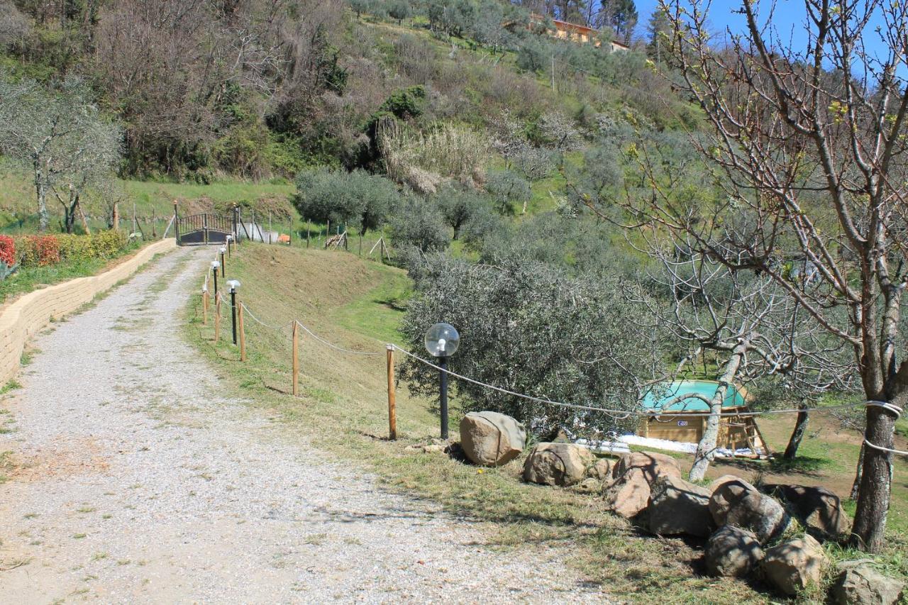 Shaleo Holiday Home Marliana Bagian luar foto