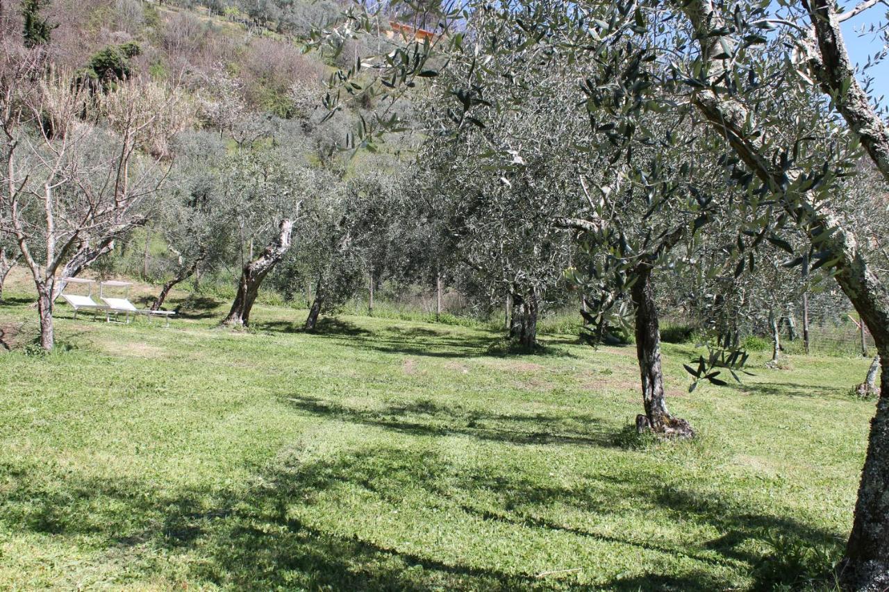 Shaleo Holiday Home Marliana Bagian luar foto